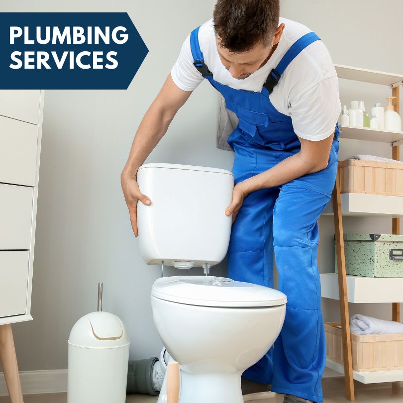 Plumbing Company in Redvale, CO